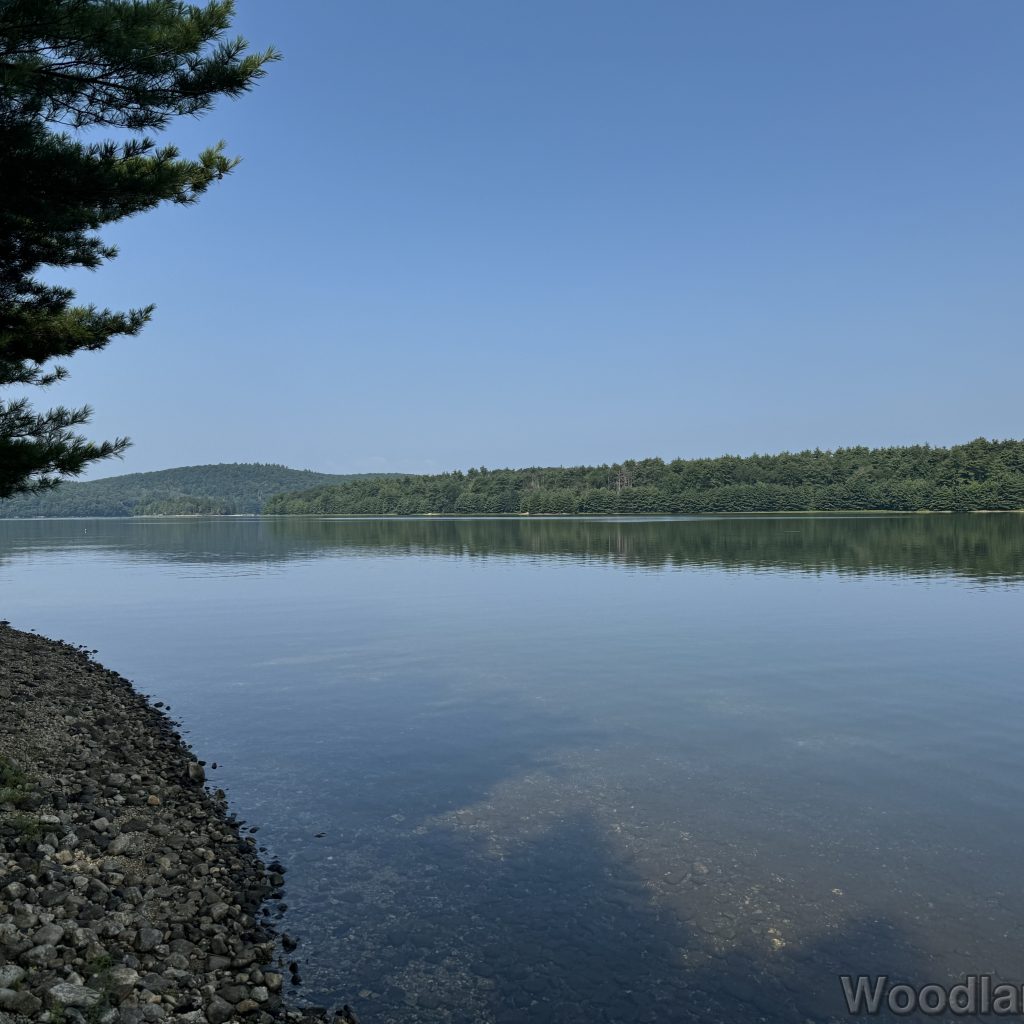 fav_2024-07-27_095928_00