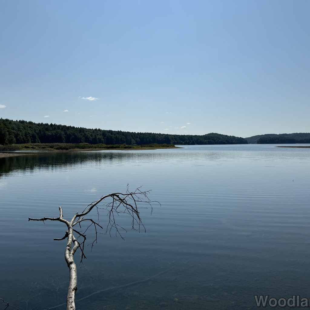 fav_2024-09-15_124659_00