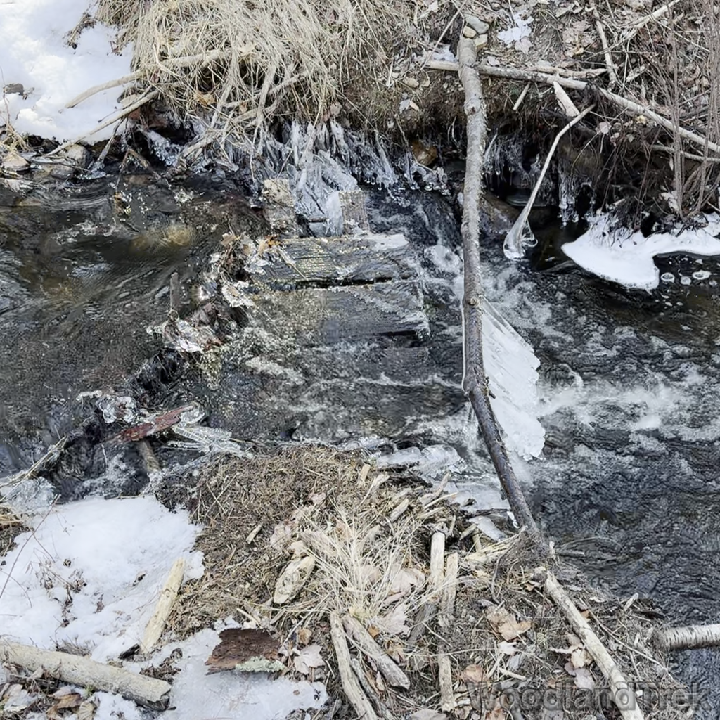 2025-03-09_112315_00