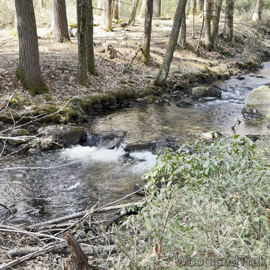 2025-03-15_115300_00