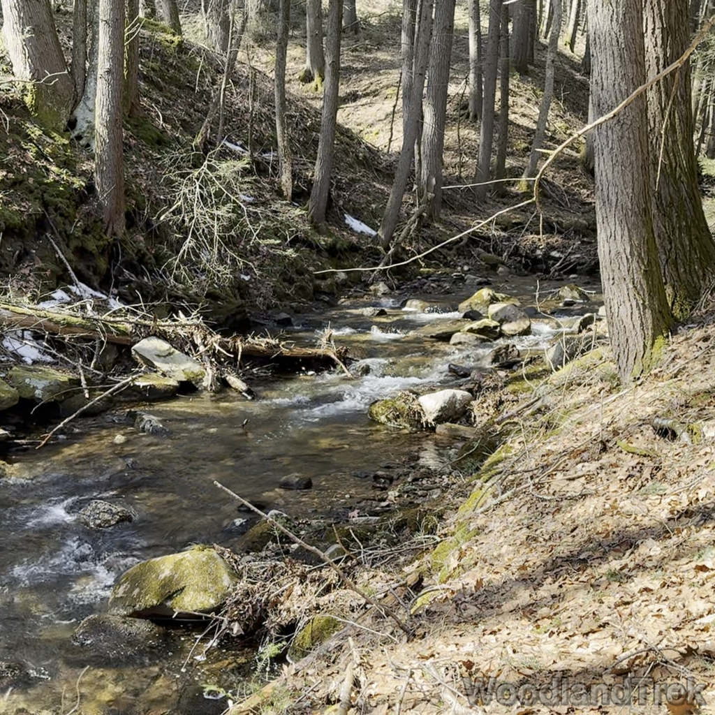 2025-03-15_124653_00