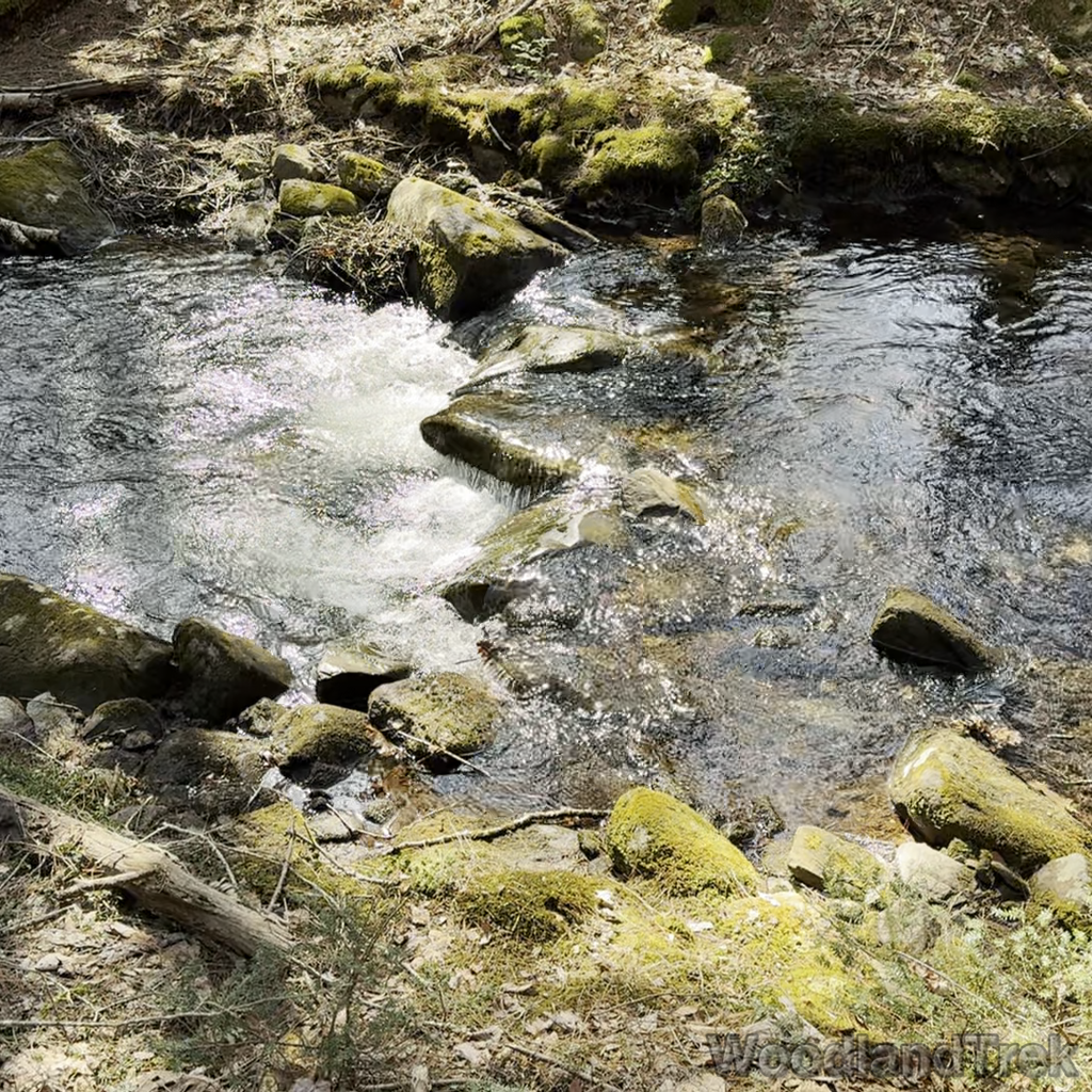 2025-03-15_130908_00