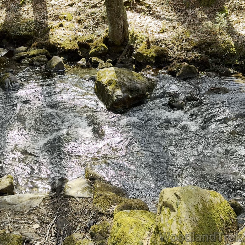 2025-03-15_130955_00