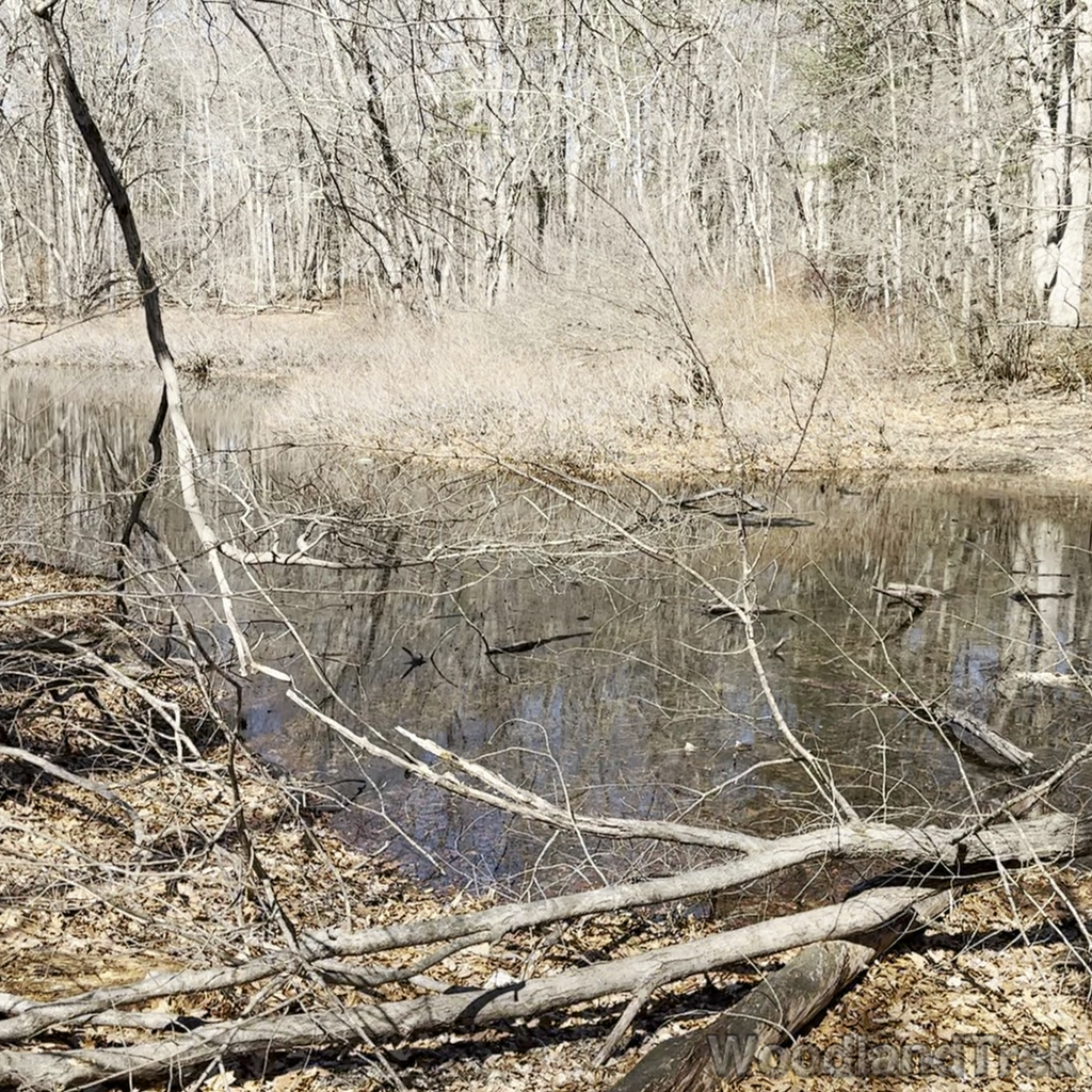 2025-03-19_140511_00