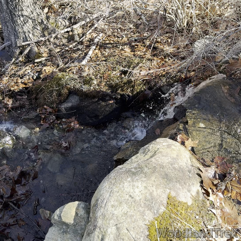 2025-03-22_105039_00