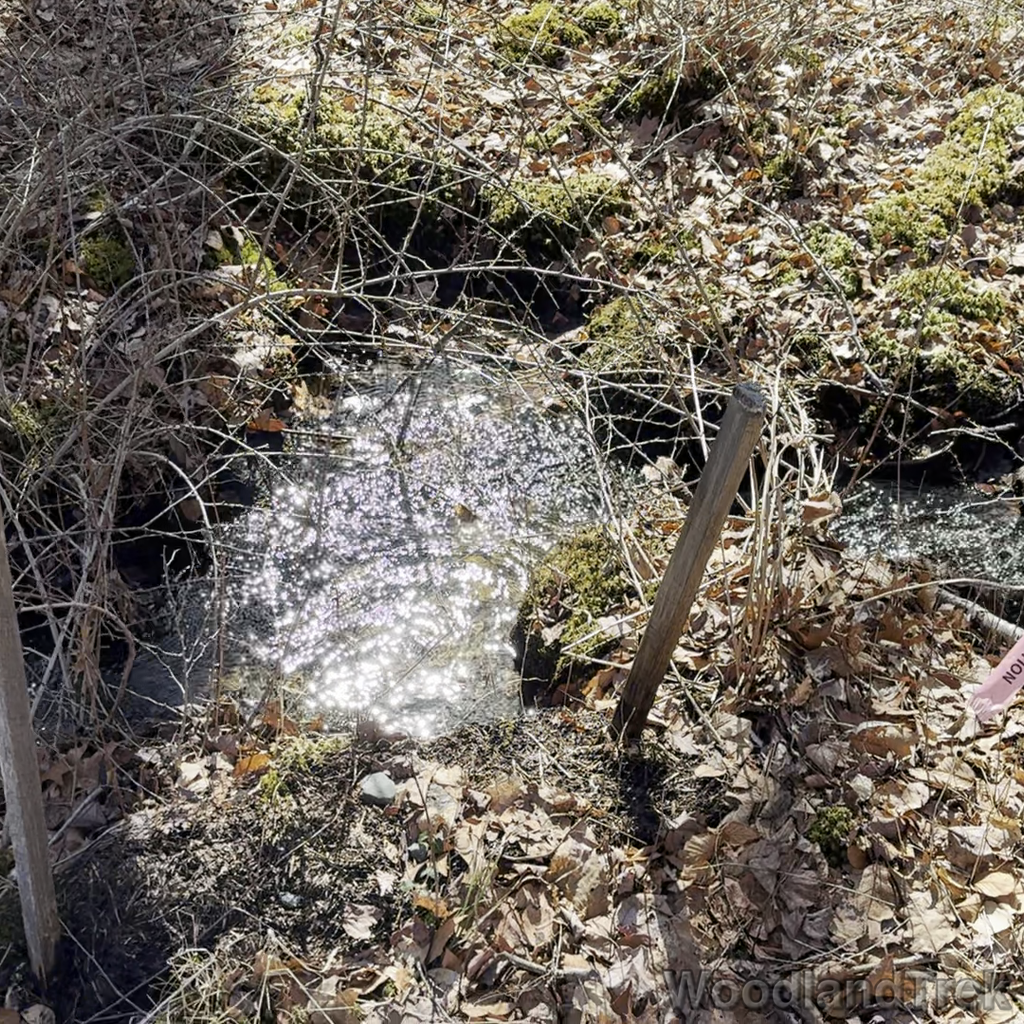 2025-03-22_111818_00