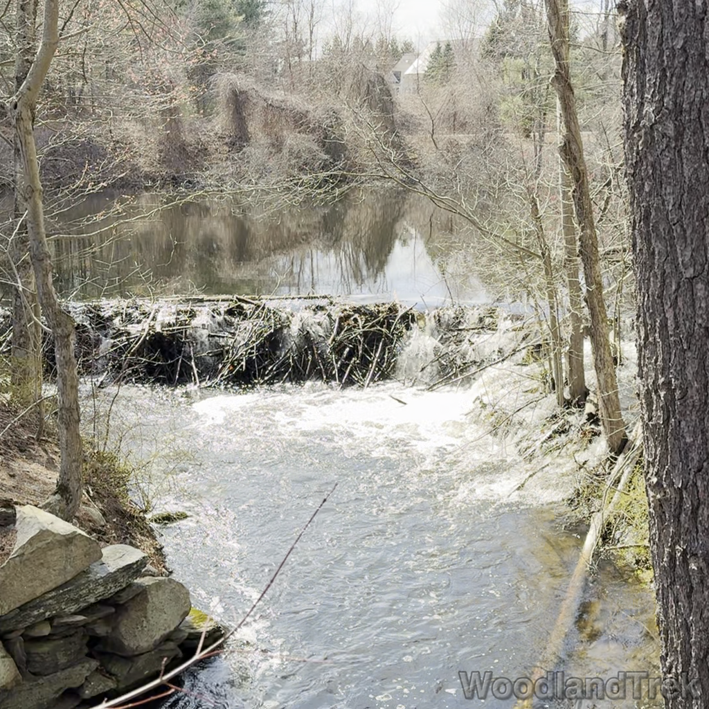 2025-04-14_153542_00