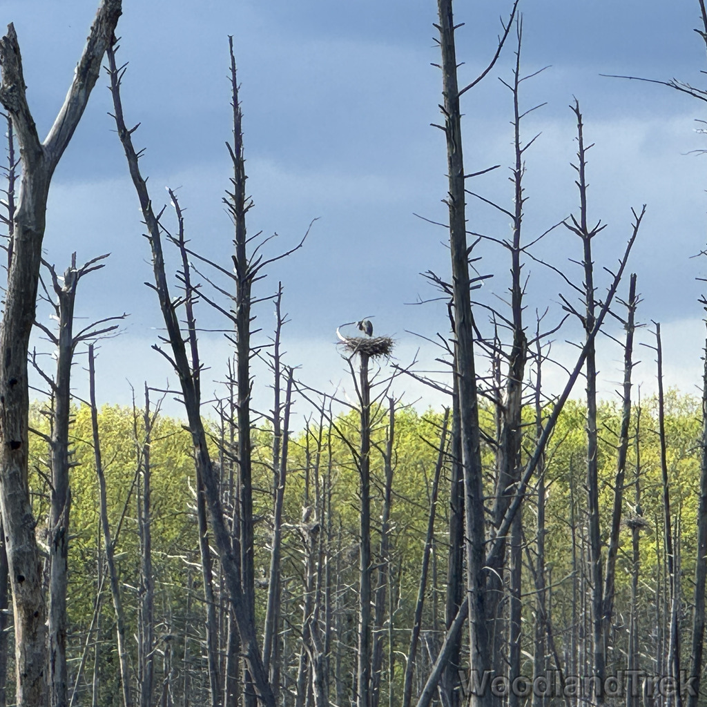 2025-05-08_165057_00