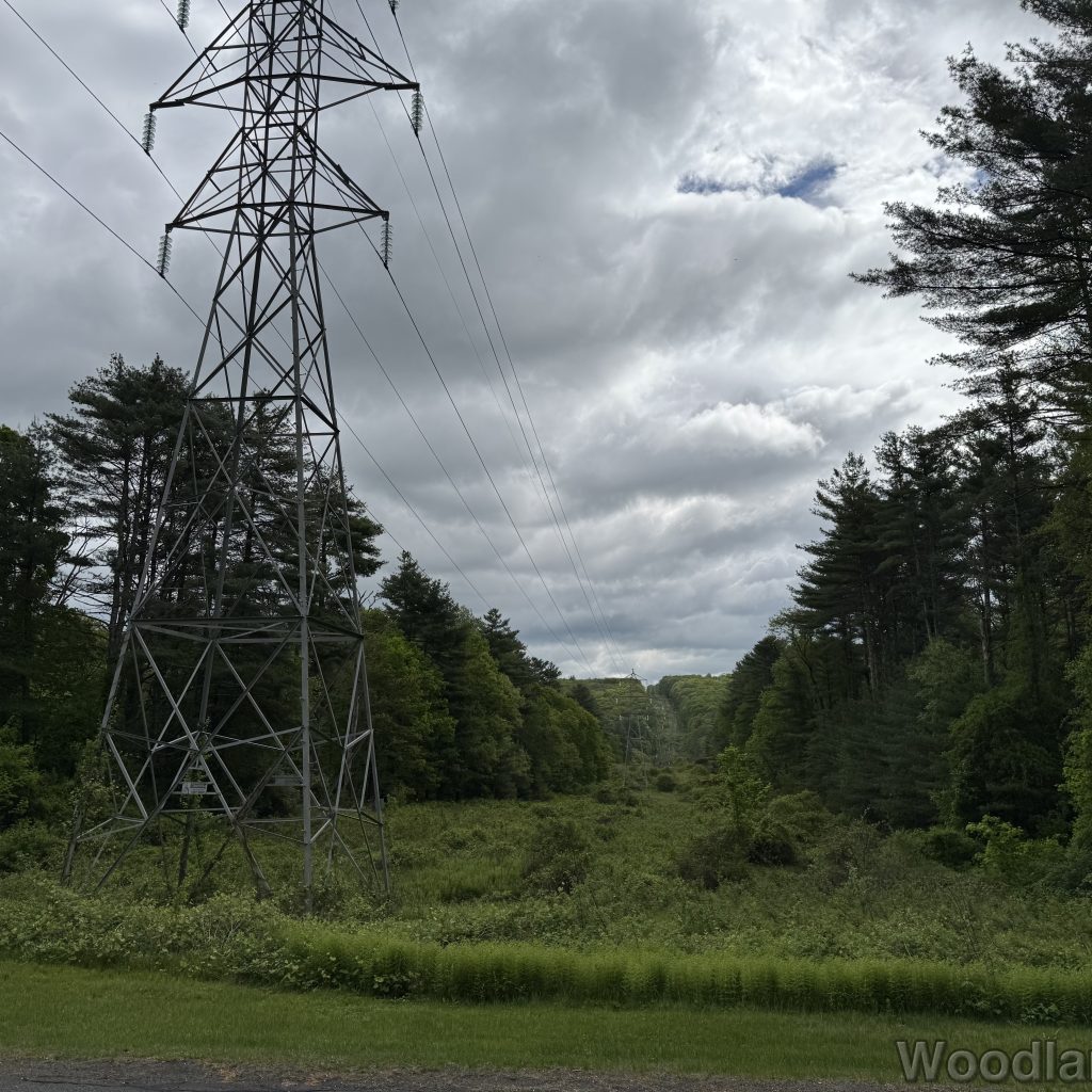 2025-05-18_100428_00