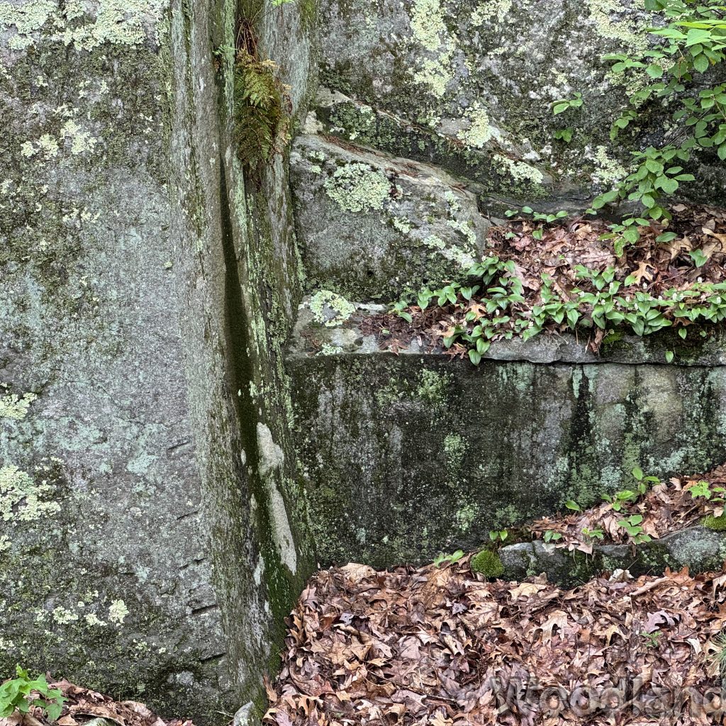 2025-05-18_101441_00