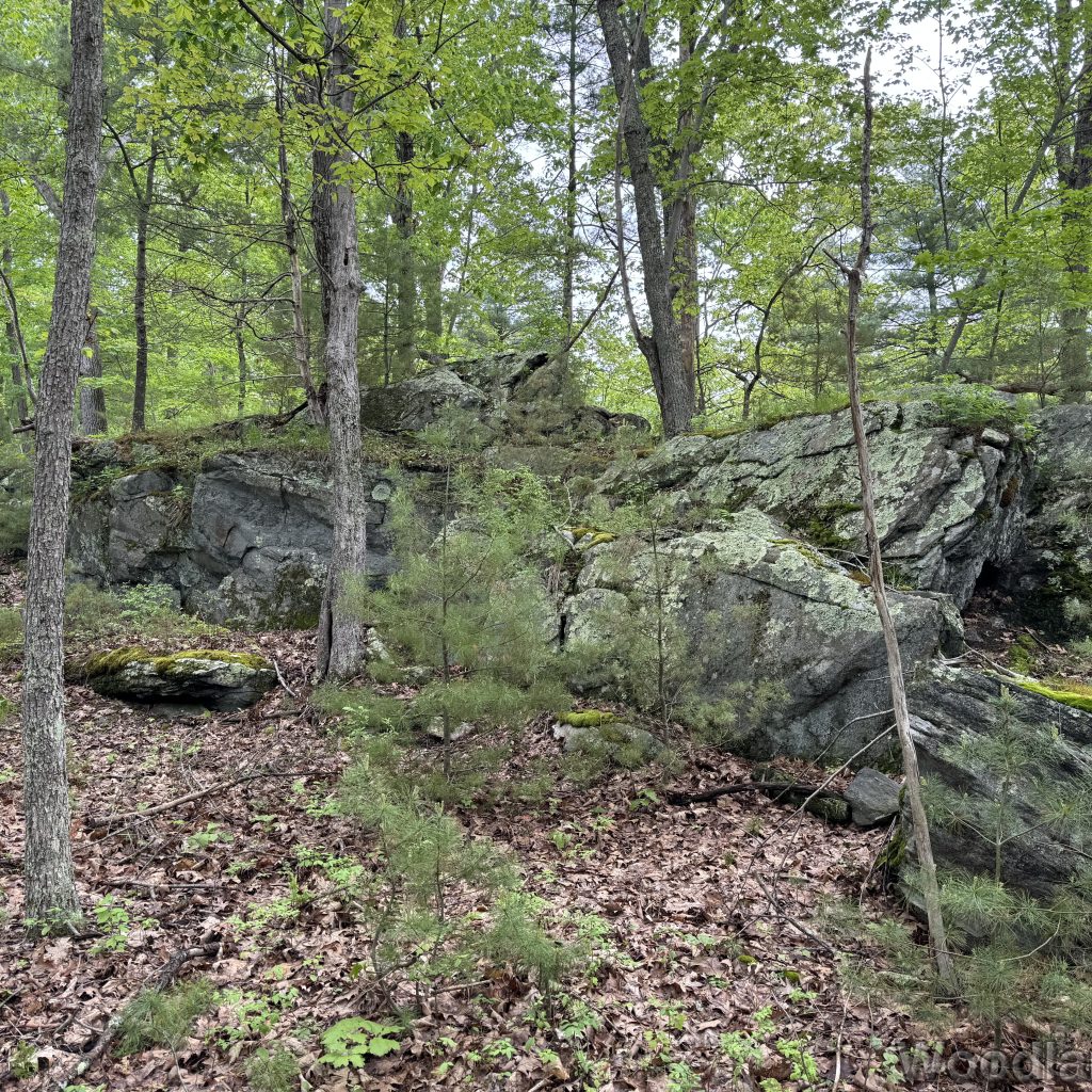 2025-05-18_101912_00
