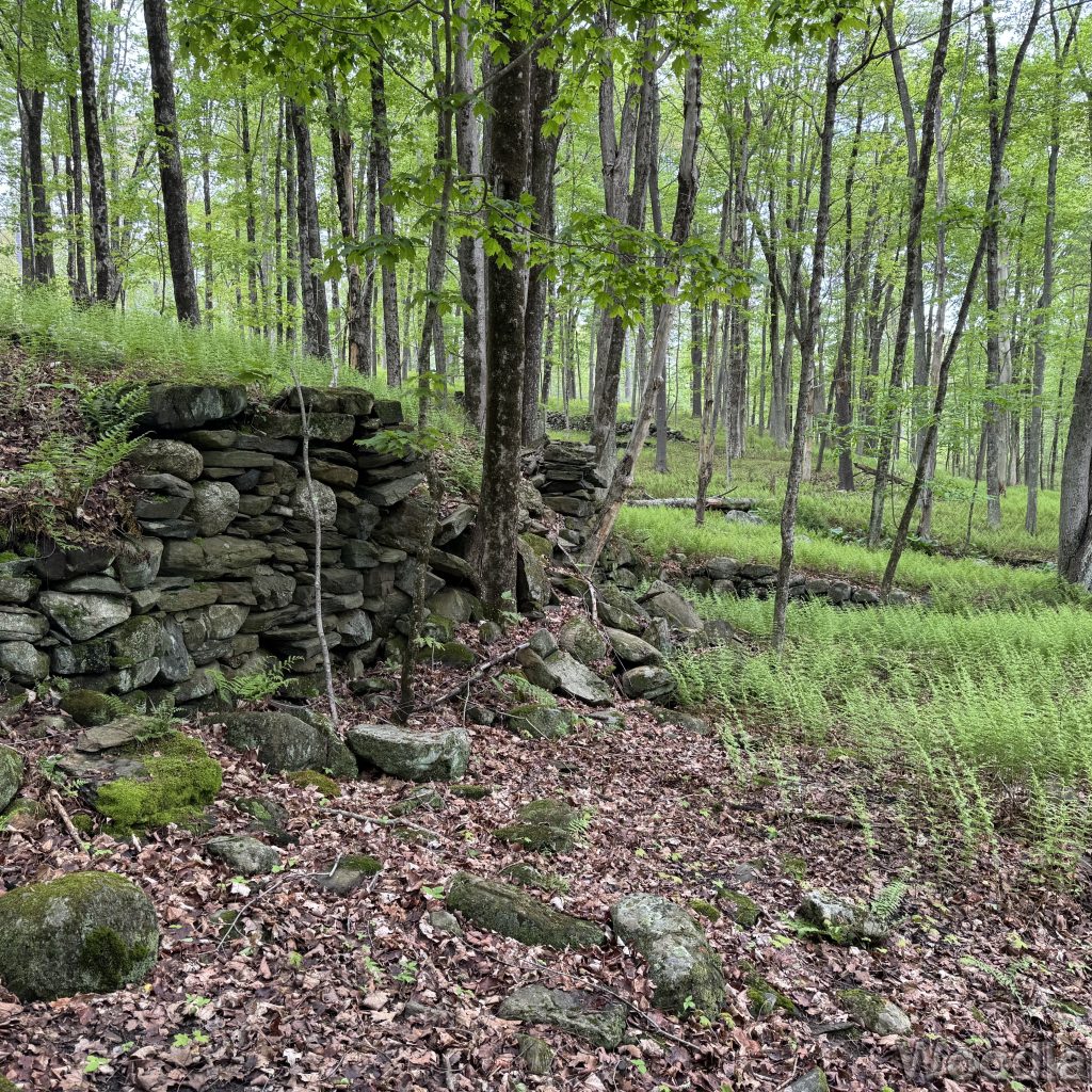 2025-05-18_103837_00
