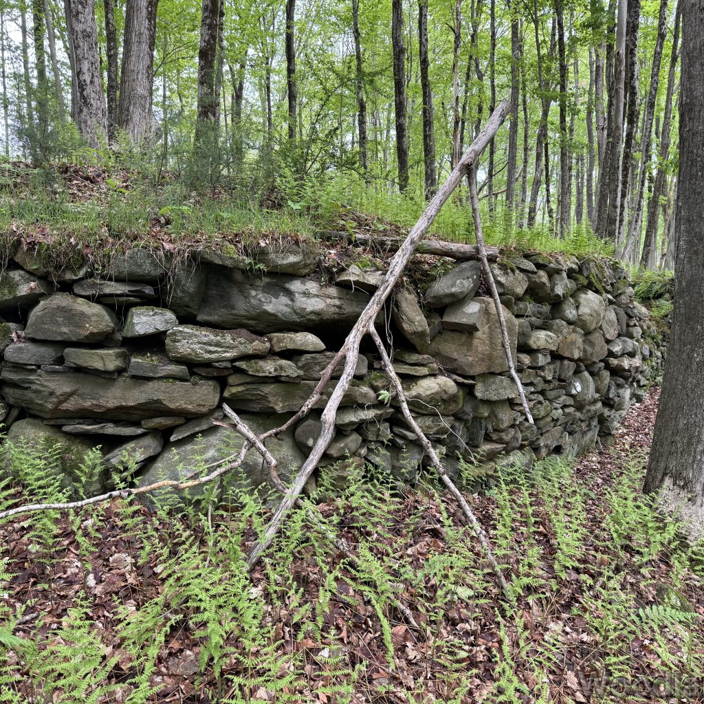 2025-05-18_103902_00