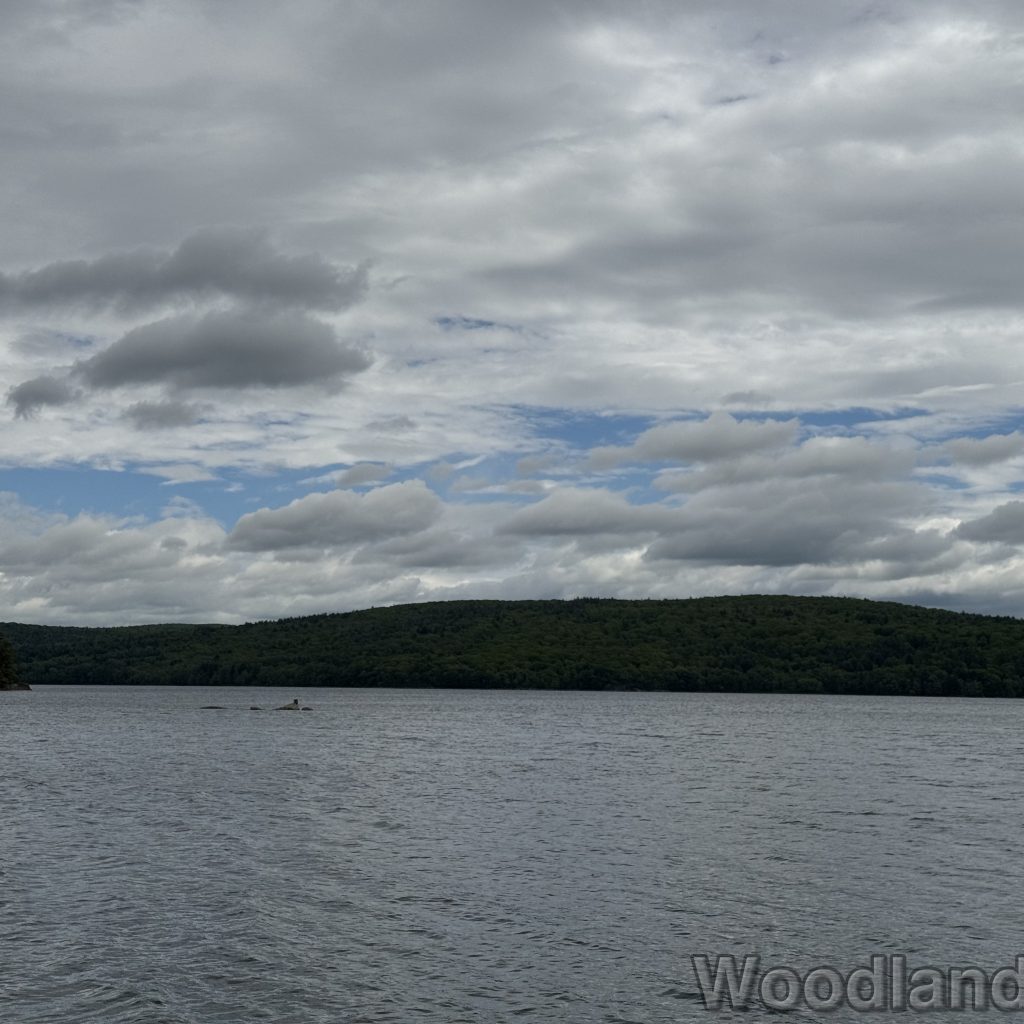 2025-05-18_110745_00