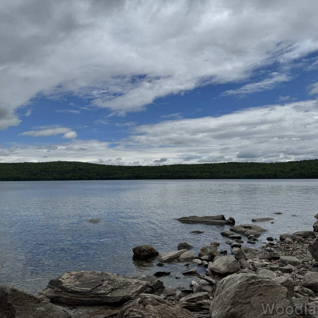 2025-05-18_113923_00