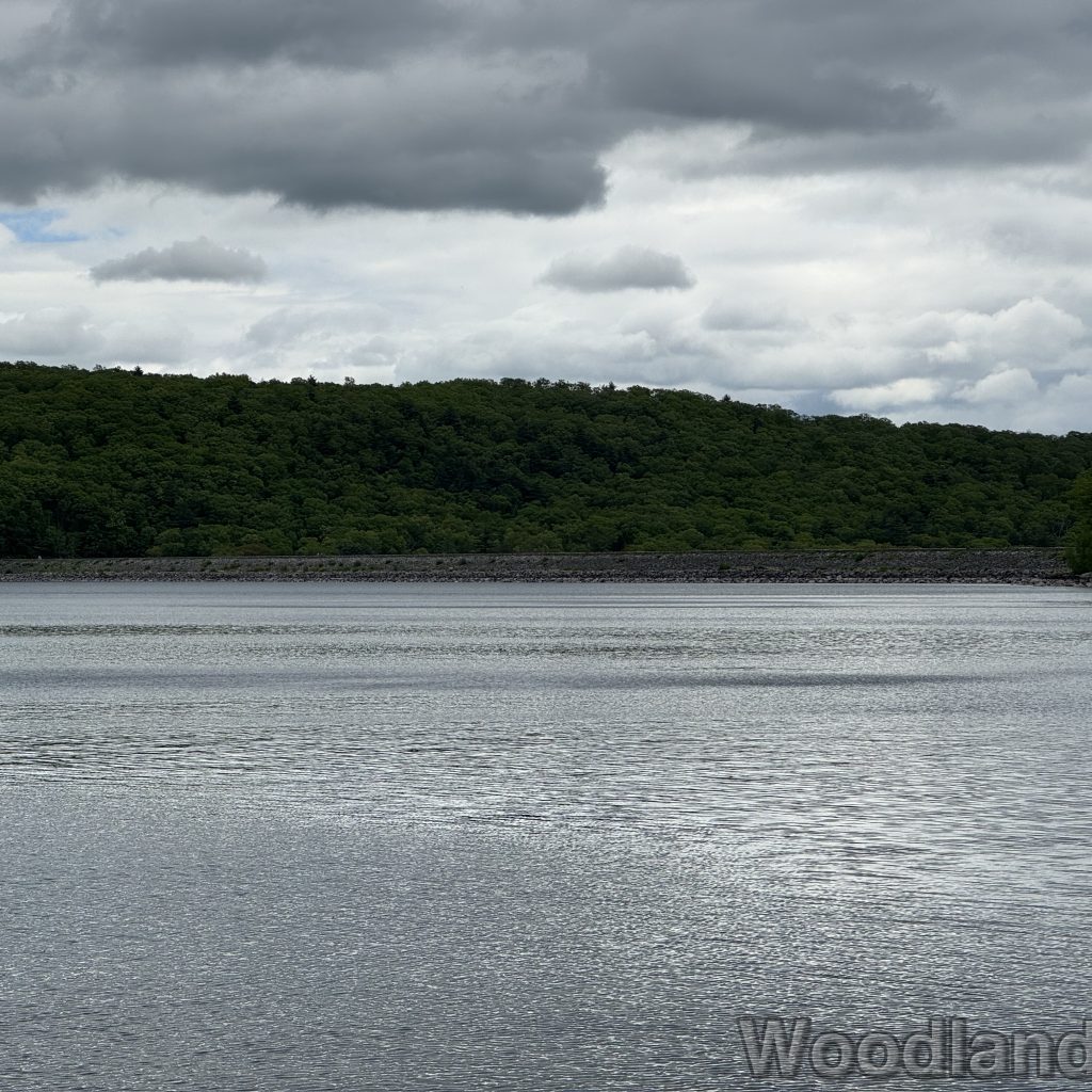 2025-05-18_115737_00