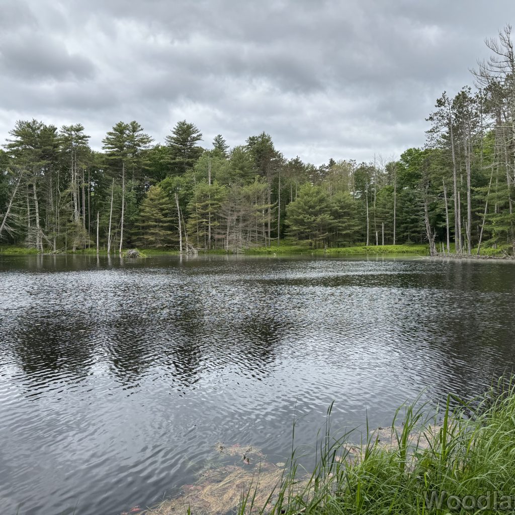 2025-06-01_105626_00