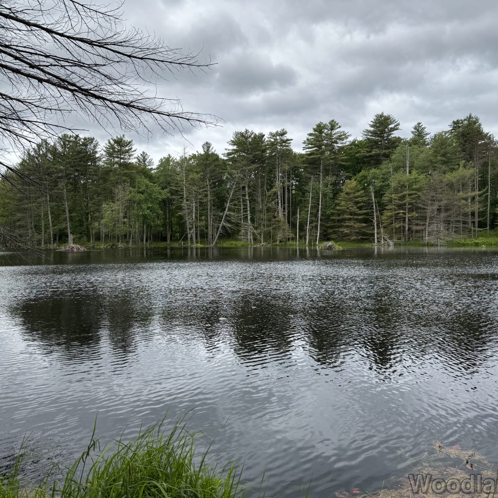 2025-06-01_105627_00