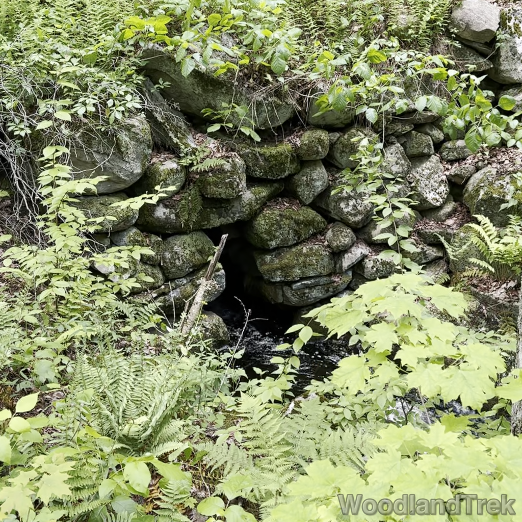 2025-06-01_125310_00