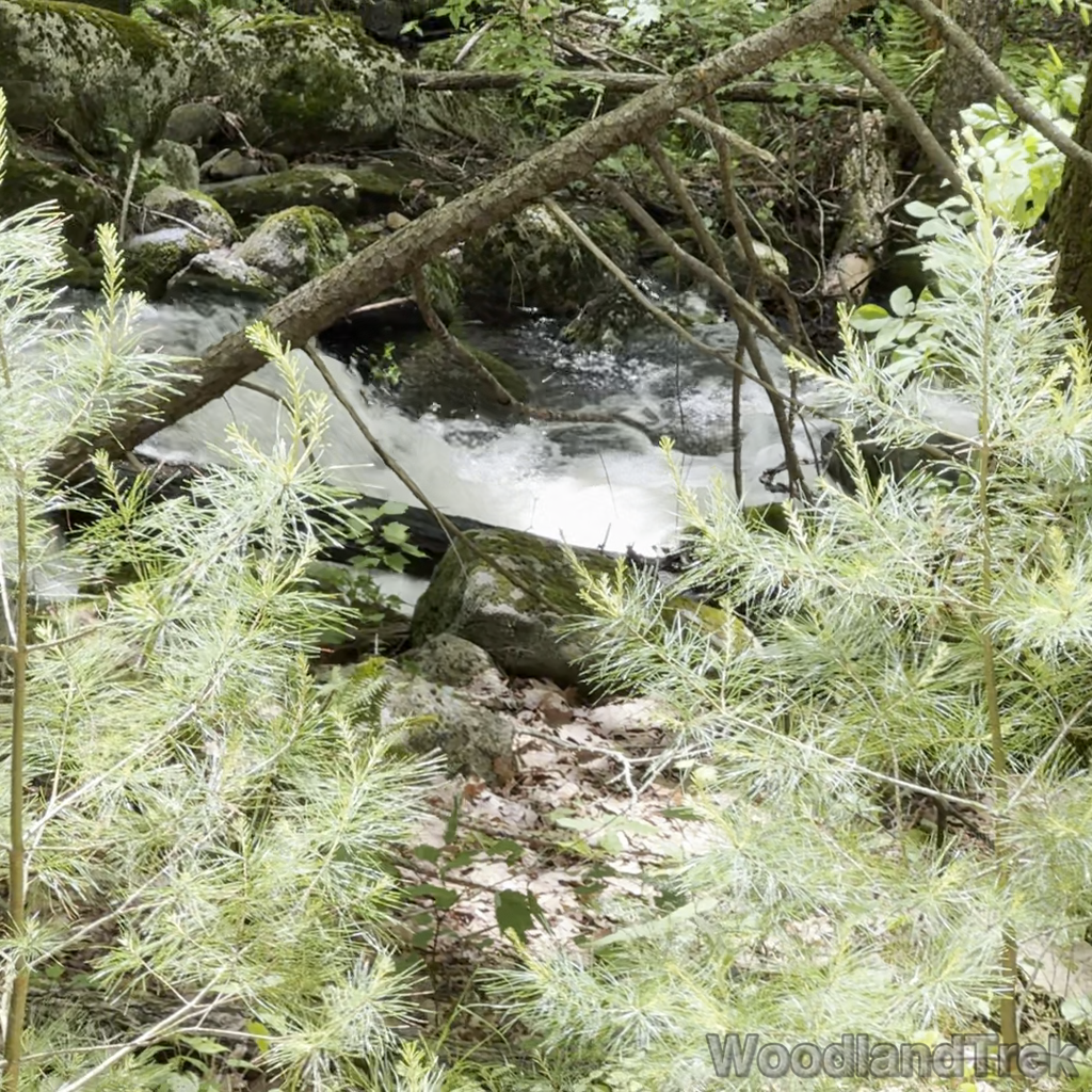 2025-06-01_125451_00