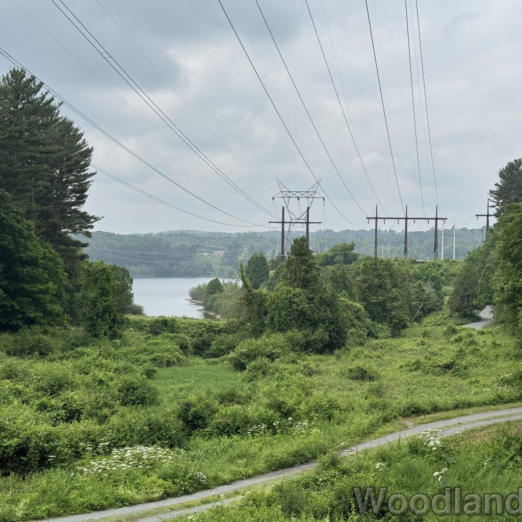 2025-06-08_111803_00