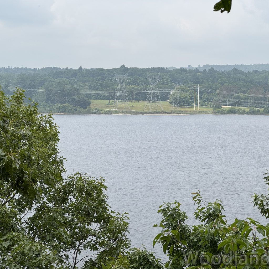 2025-06-08_112732_00