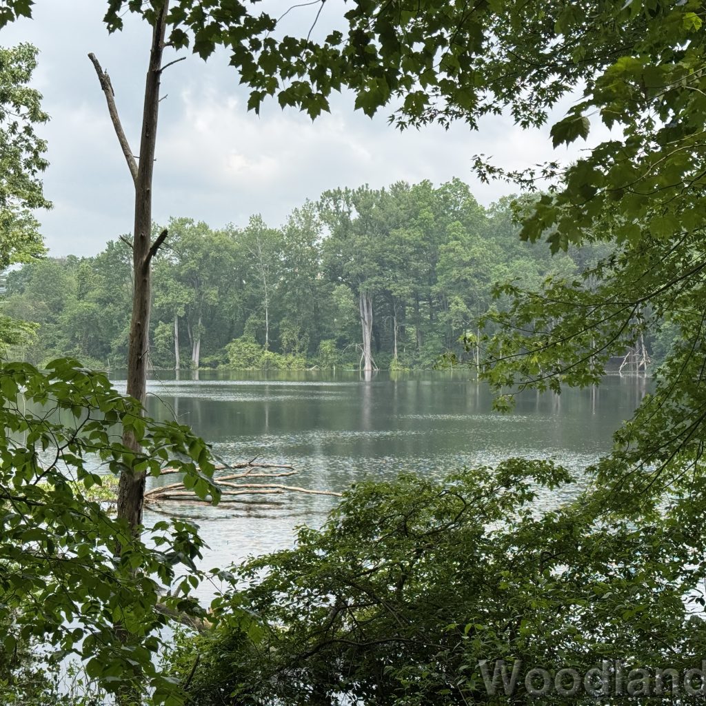 2025-06-08_113946_00