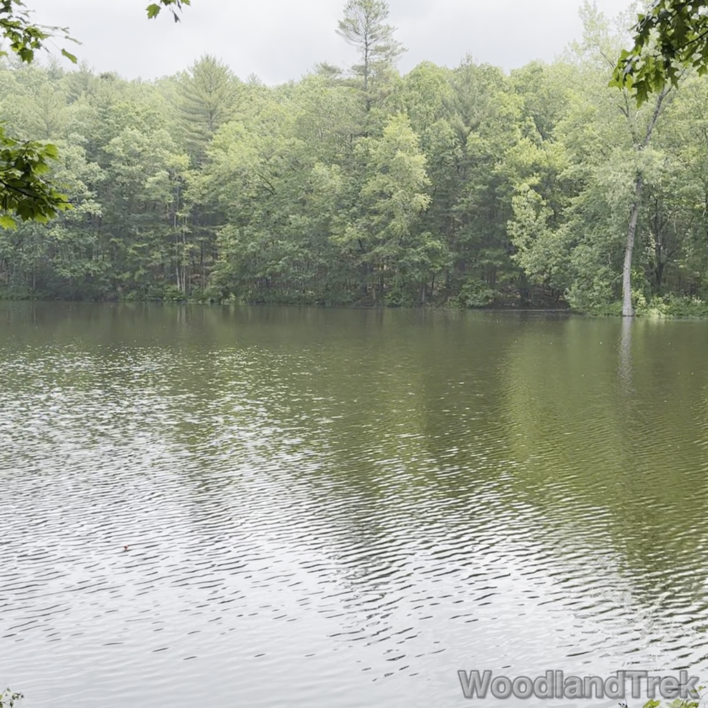 2025-06-08_114244_00