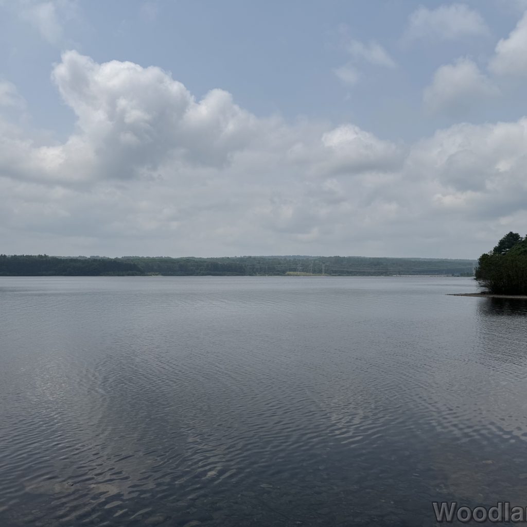 2025-06-08_115408_00