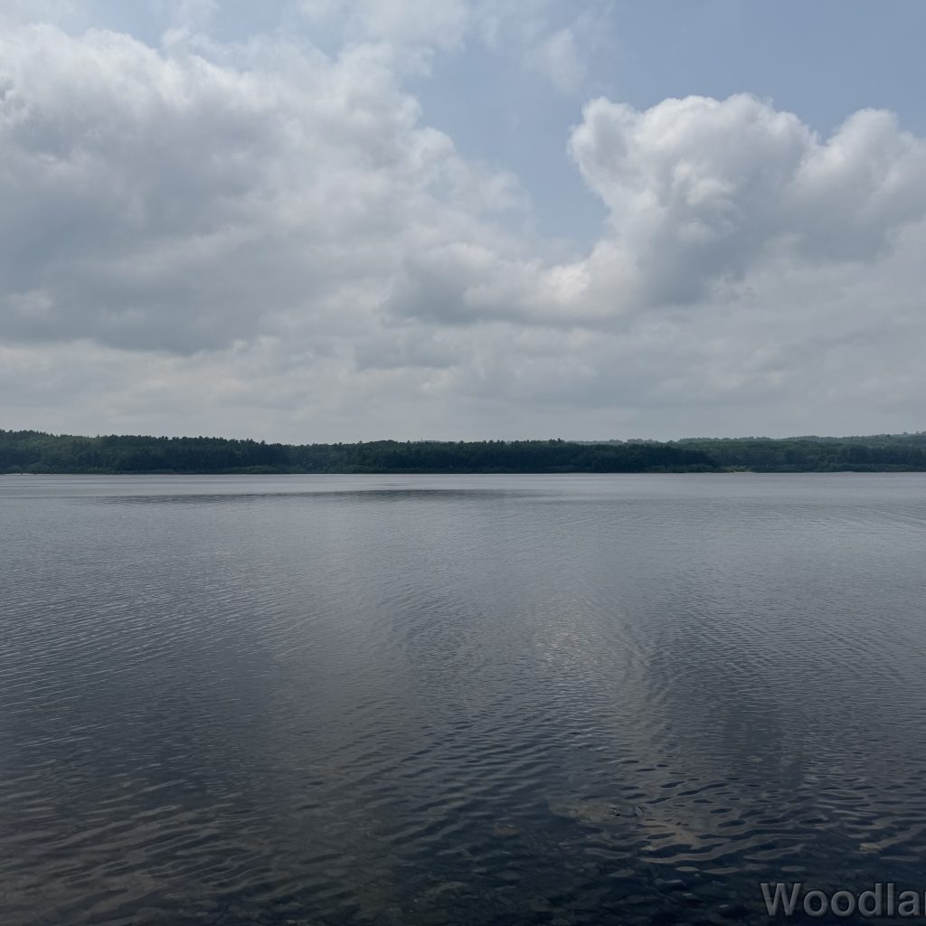 2025-06-08_115410_00
