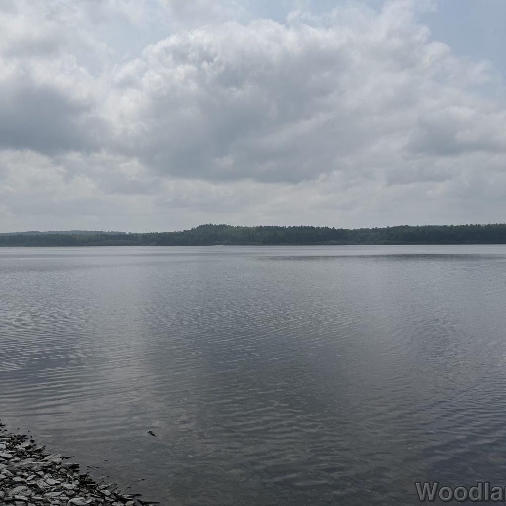 2025-06-08_115413_00