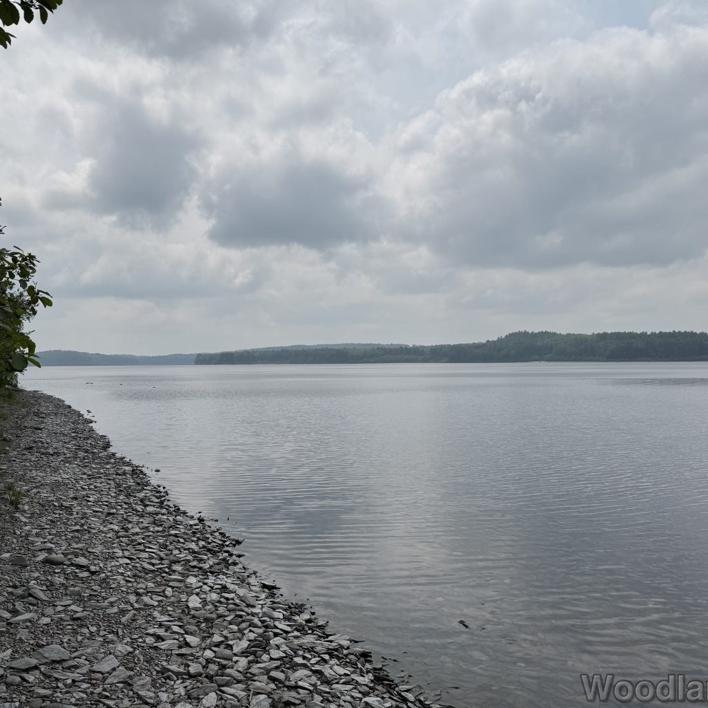 2025-06-08_115416_00