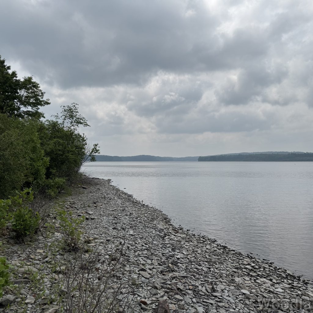 2025-06-08_115827_00