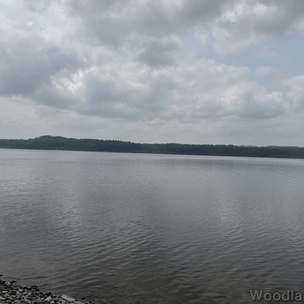 2025-06-08_115831_00