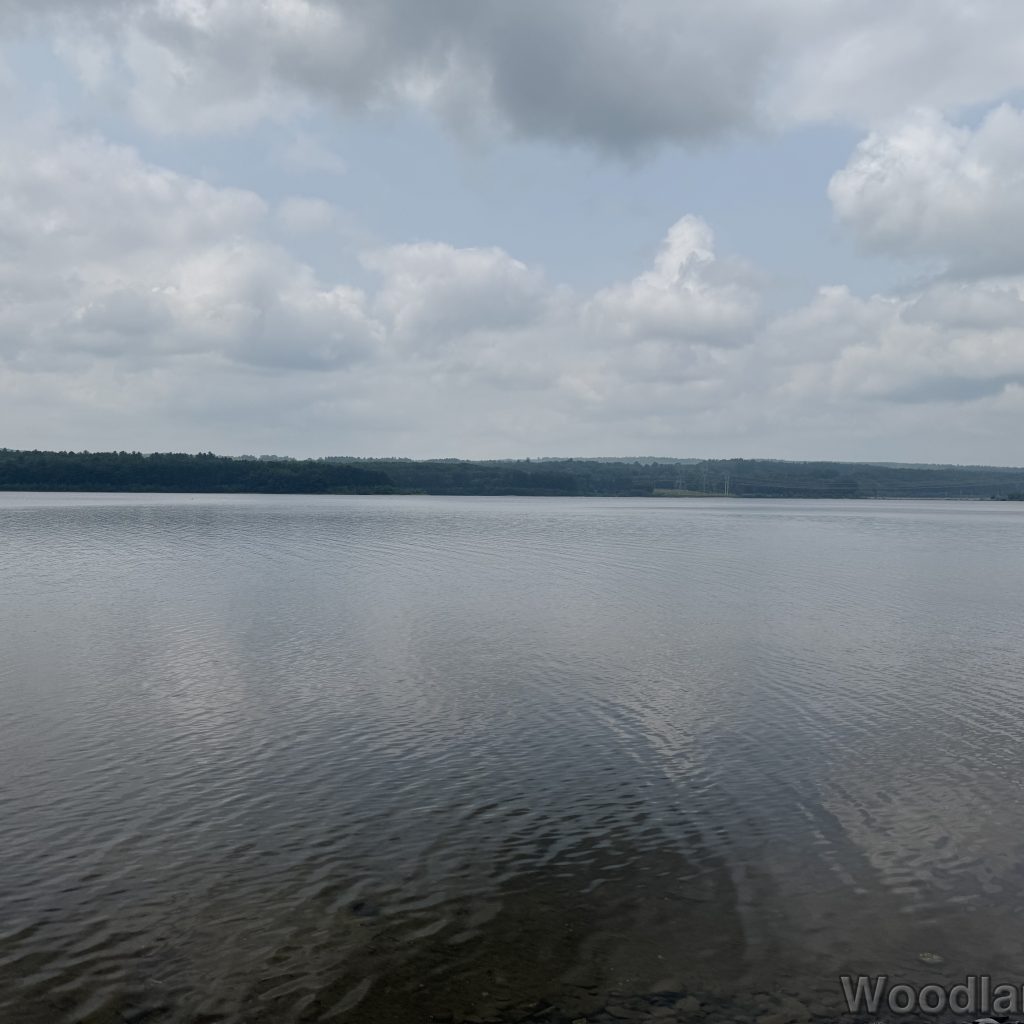2025-06-08_115833_00