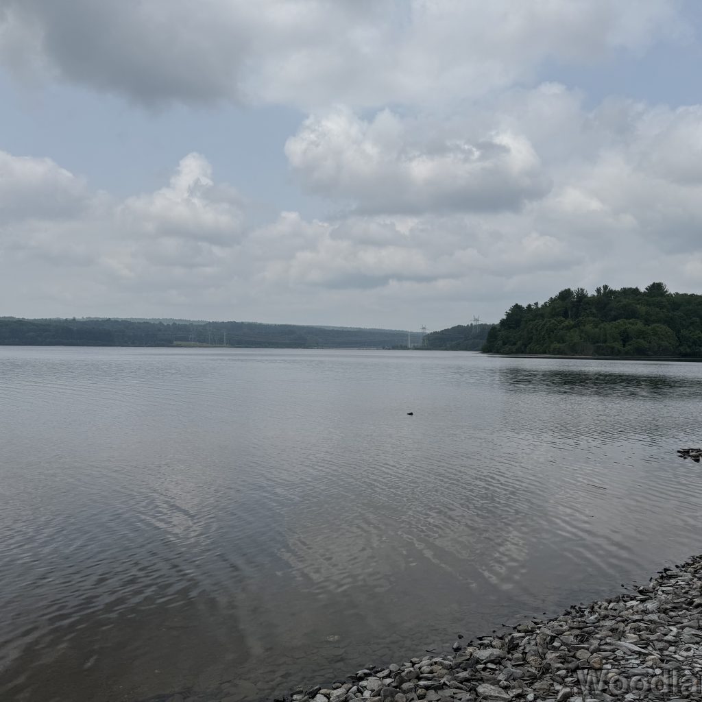 2025-06-08_115837_00