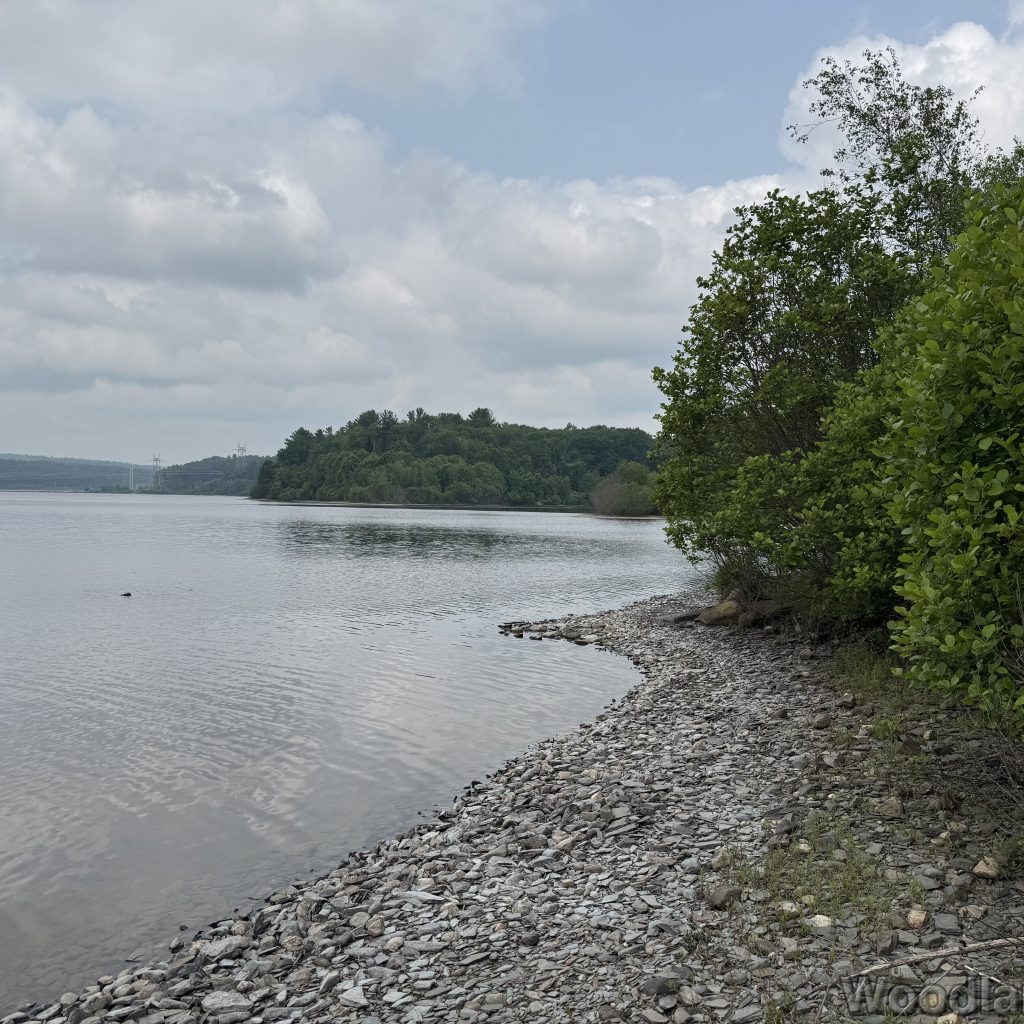 2025-06-08_115839_00