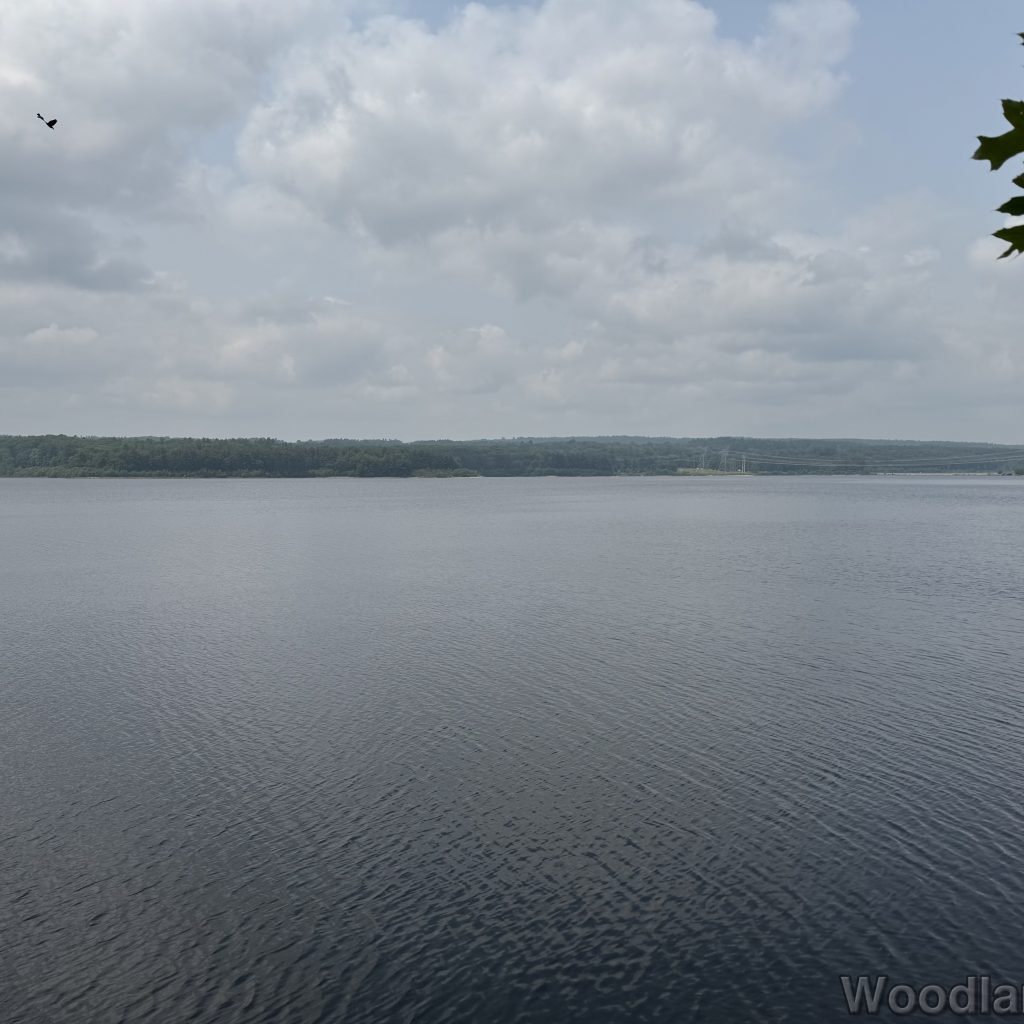 2025-06-08_120637_00