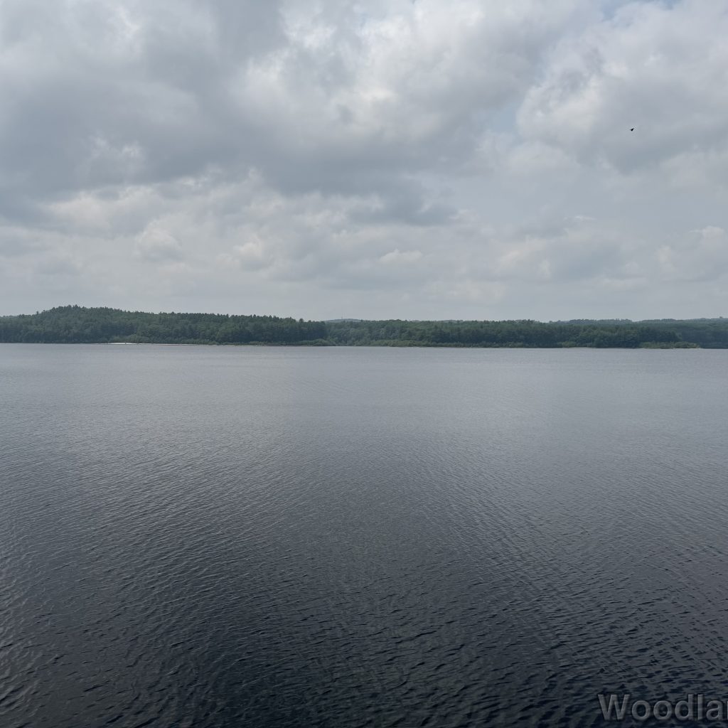 2025-06-08_120639_00