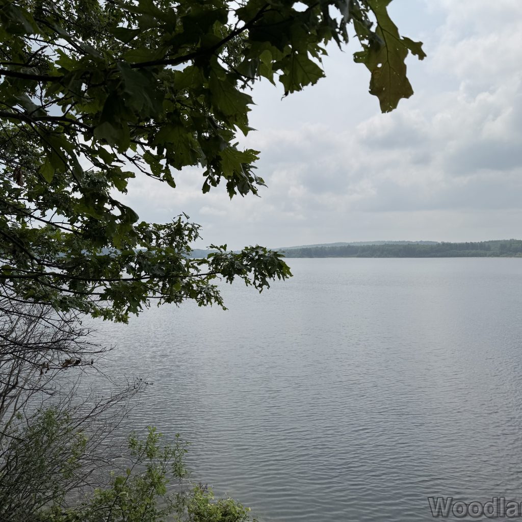 2025-06-08_120642_00