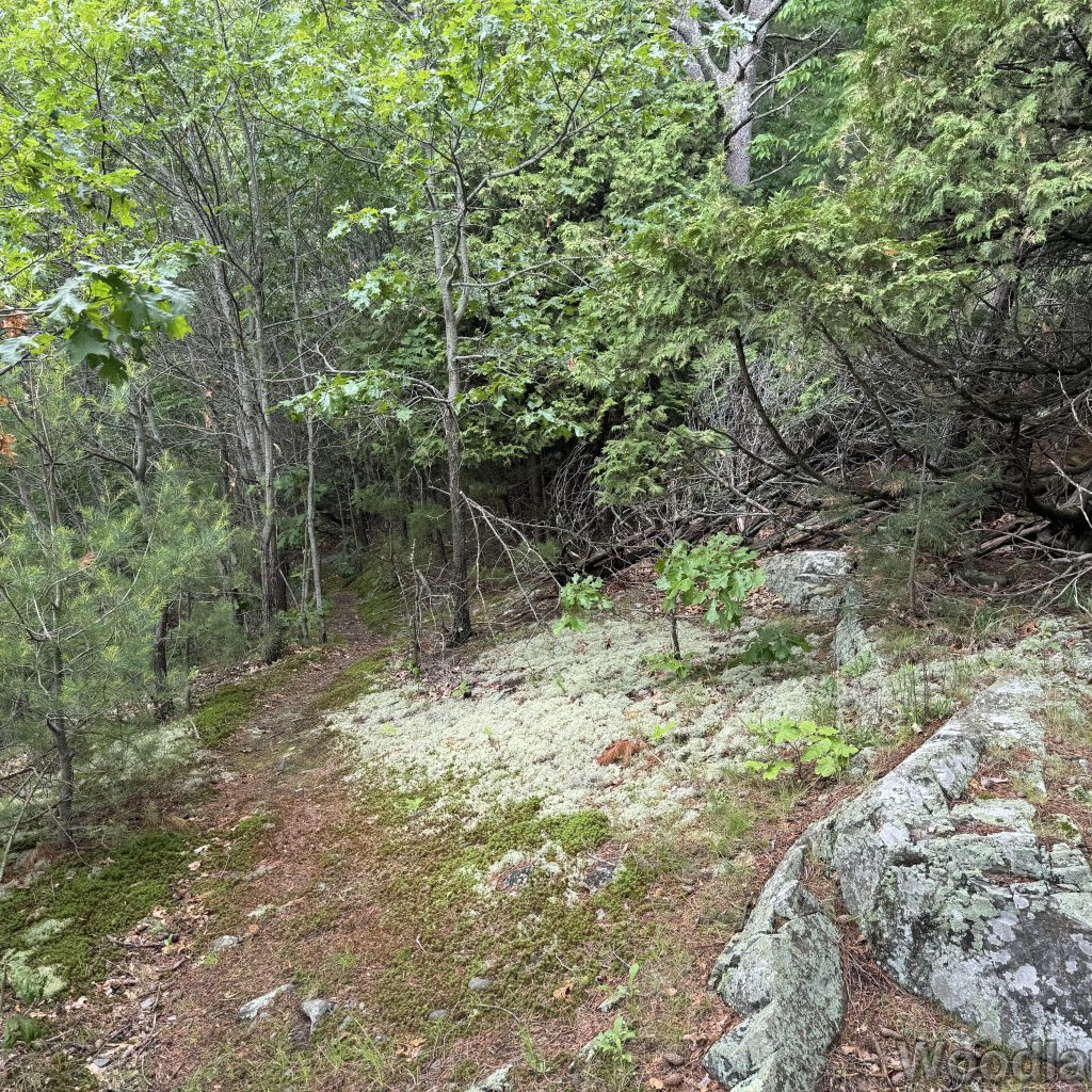 2025-06-08_121529_00
