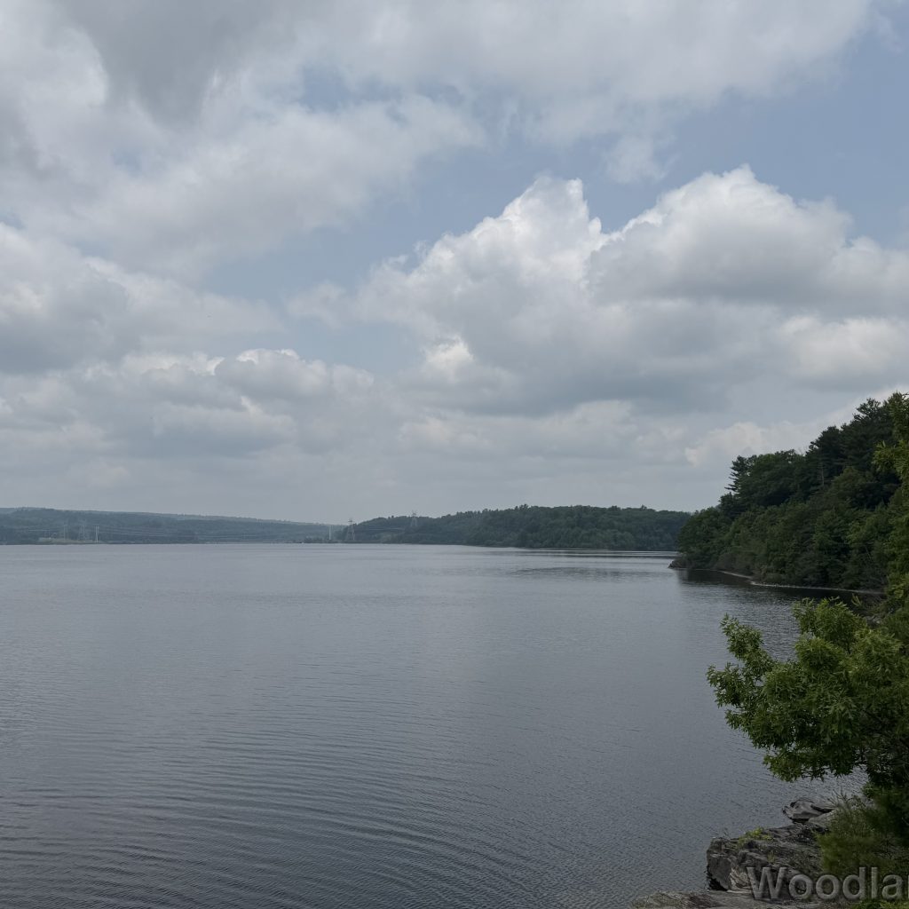 2025-06-08_121829_00