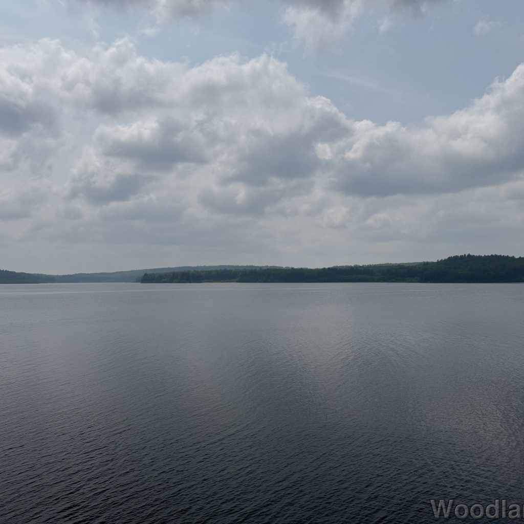 2025-06-08_121836_00