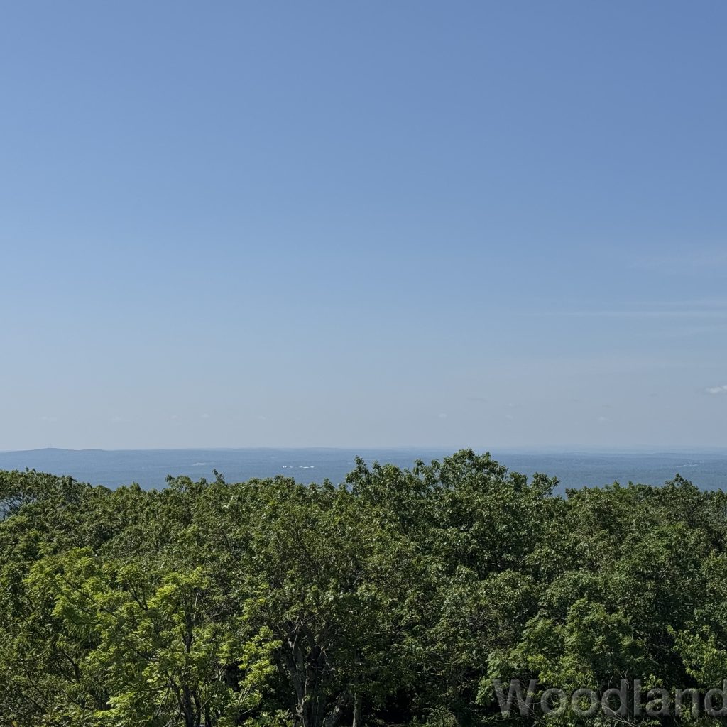 2025-06-21_110512_00