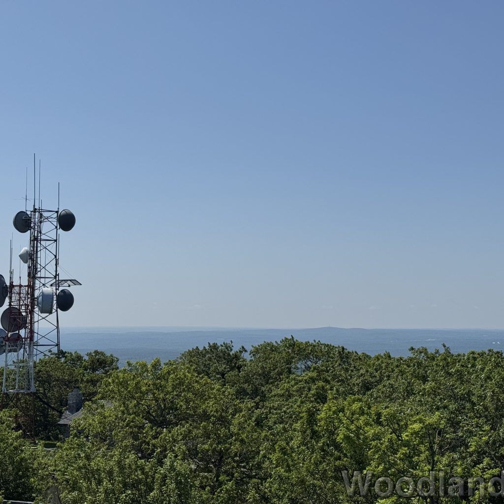 2025-06-21_110517_00