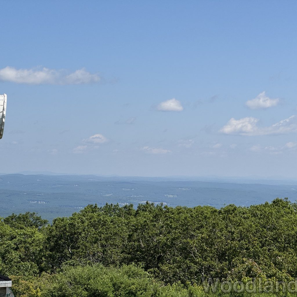 2025-06-21_110628_00
