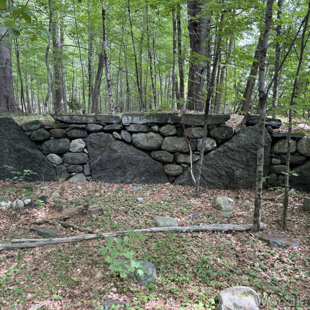 2025-07-05_101001_00