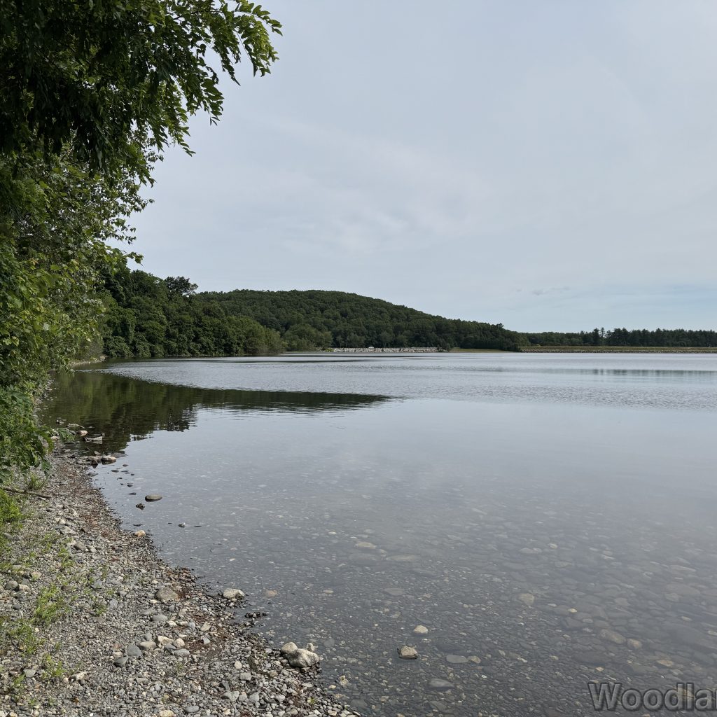 2025-07-05_101108_00