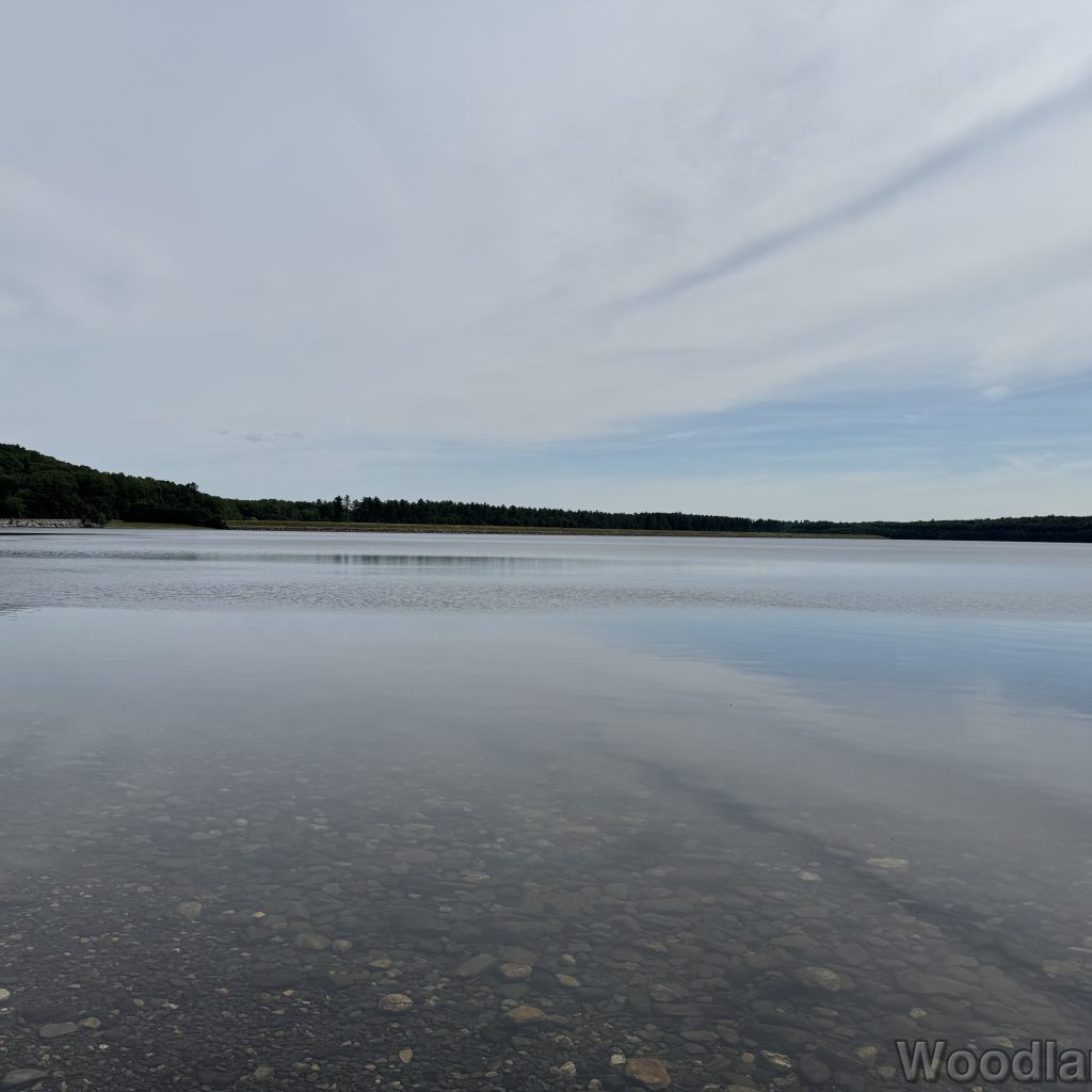 2025-07-05_101112_00