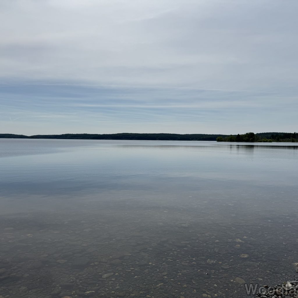 2025-07-05_101117_00